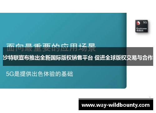 沙特联宣布推出全新国际版权销售平台 促进全球版权交易与合作